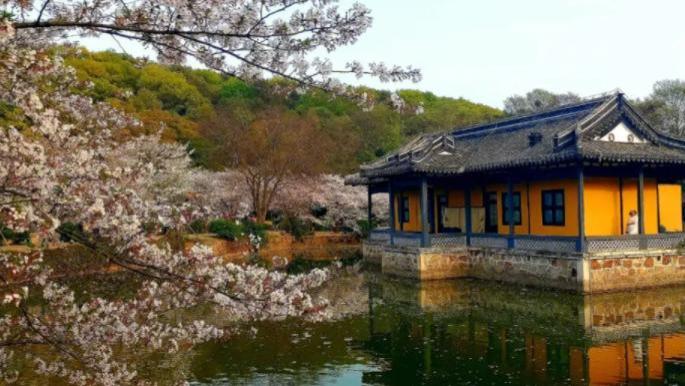 浙江省|江苏适合养老的低调小城，空气好，景美安逸，被誉为“太湖明珠”