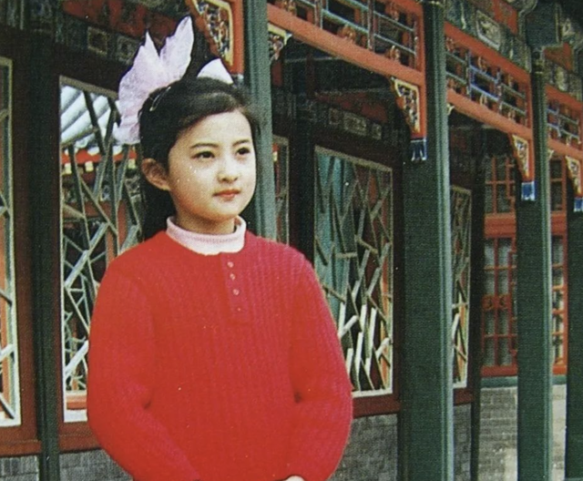 童星|8位“天才童星”现状,多人大起大落,两人锒铛入狱,命运差距大