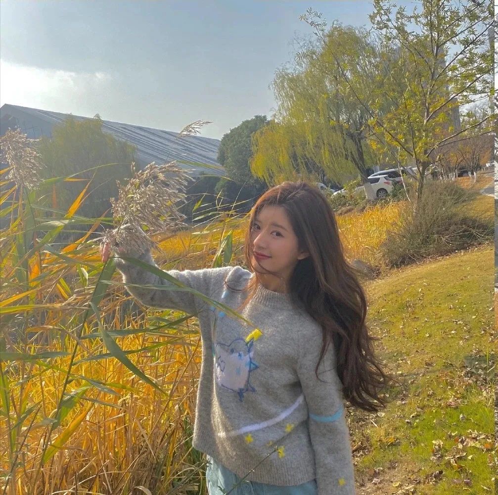 爱豆丨赵露思头像表情包