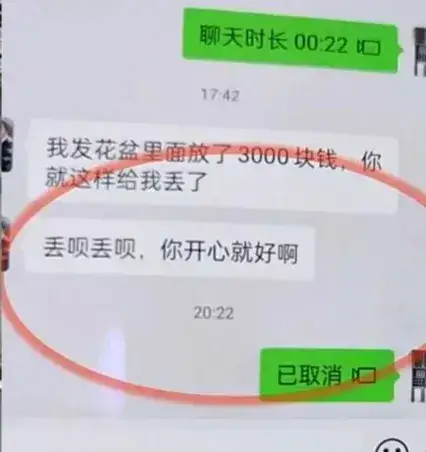牧风芳华 夫妻拌嘴扔掉家里的花瓶，老婆却说里面藏了钱，结果让人哭笑不得