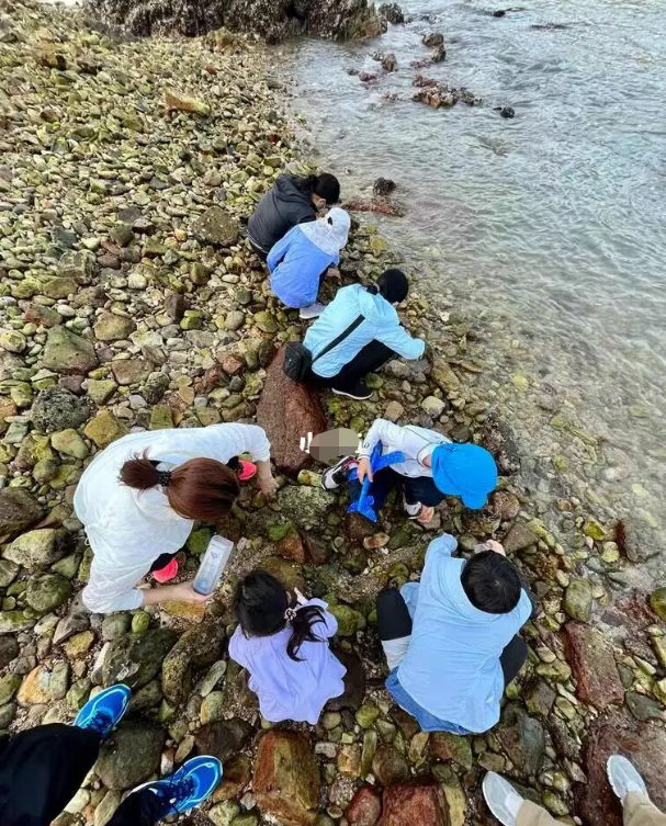 郭晶晶|郭晶晶带孩子赶海太真实！蹲海边上埋头抓螃蟹，徒手搬石头接地气
