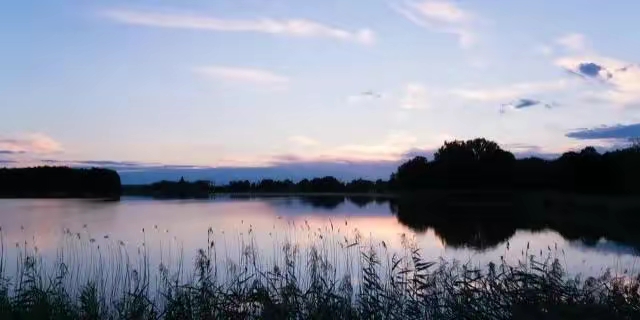 |这篇文章告诉你如果在春季钓鲫鱼