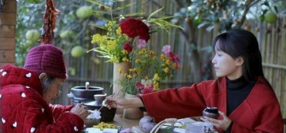 越南网红生搬李子柒,场景服装模仿就算了,“奶奶”都是一模一样