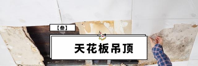 阳台装修值得做的7项投入,可以不照着做,但不能没听说过