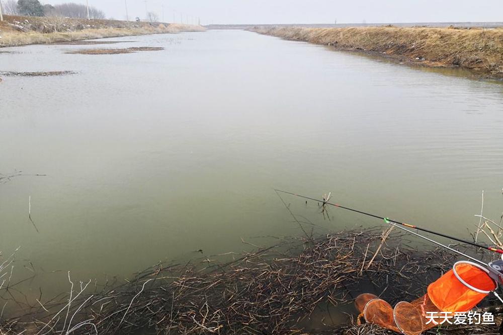 |冬季钓不到鱼,往往不是因为天冷,注意4个误区,天冷也能钓爆护