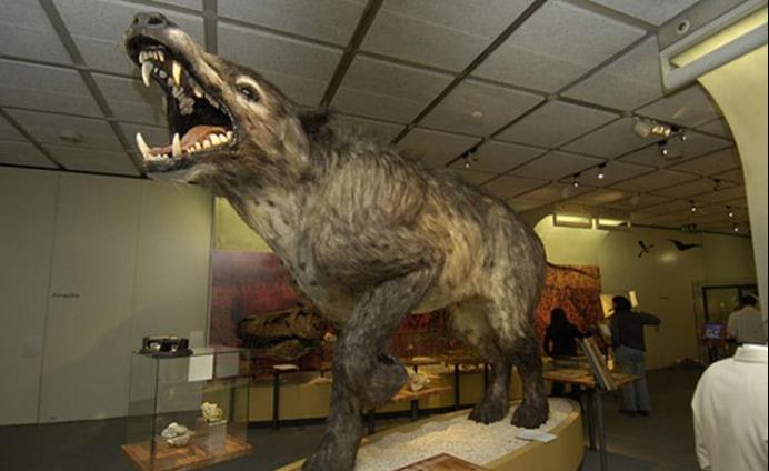 神农架重现已灭绝50万年生物,地球自我修复?还是玛雅预言成真?