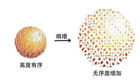 宇宙膨胀无序性增加导致熵增,与生命活动以负熵为生之间的关系