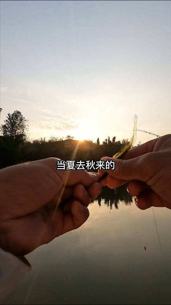 饵料|就问你们一句话，这个鱼费酒不？