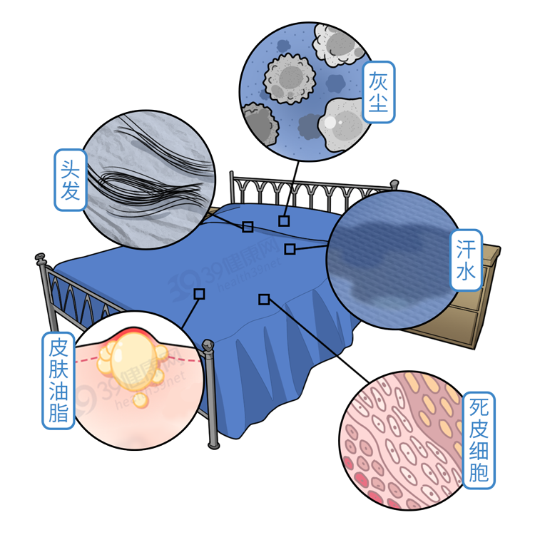 床单30天不洗究竟有多脏?多久洗一次最好?看完再也不偷懒了