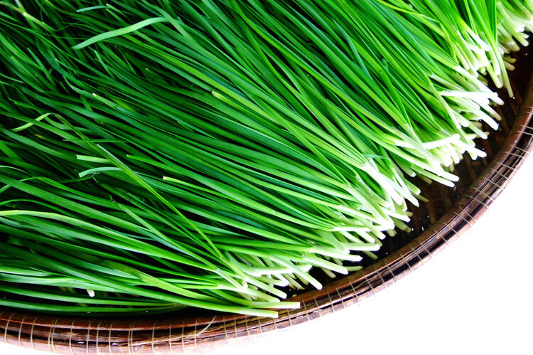 经络|壮阳食物能壮阳吗？这5个“壮阳大法”都是忽悠人的，别再受骗了