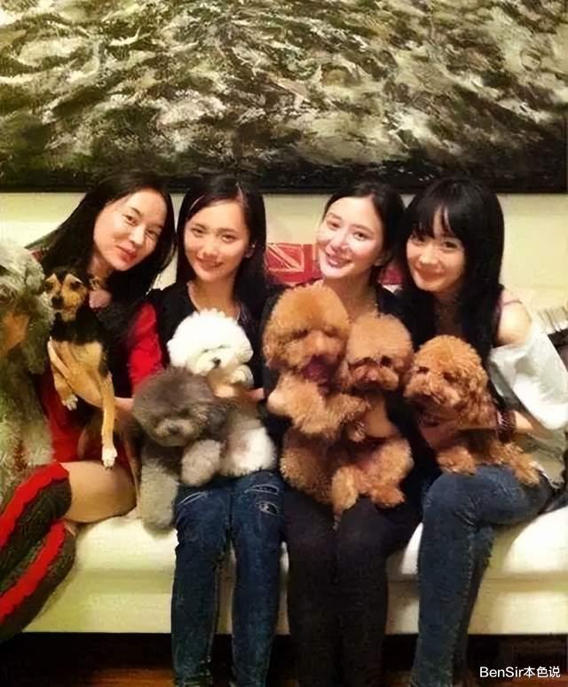 甘薇|甘薇:破产富豪前妻穿古驰坐豪车的“艰难”生活