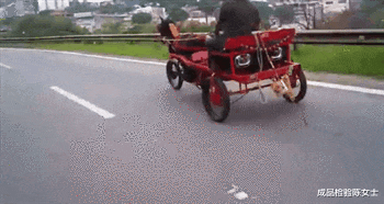 手表 “在五星酒店捡了个块手表，能值500吗？”