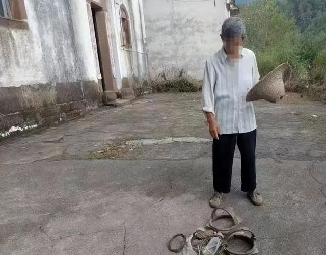 杭州男子深夜偶遇“山兽神”黄猄，头顶叉角嘴长獠牙，罕见不怕人