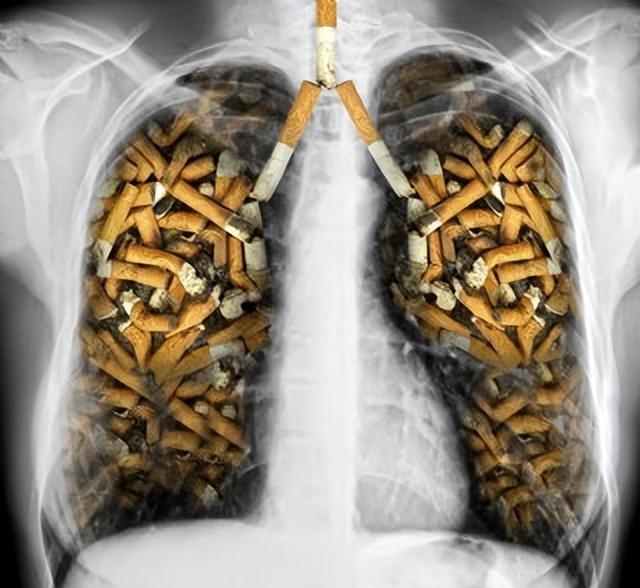 每包香烟涨到59元,才能实现控烟目标!为何不直接关闭烟草厂?