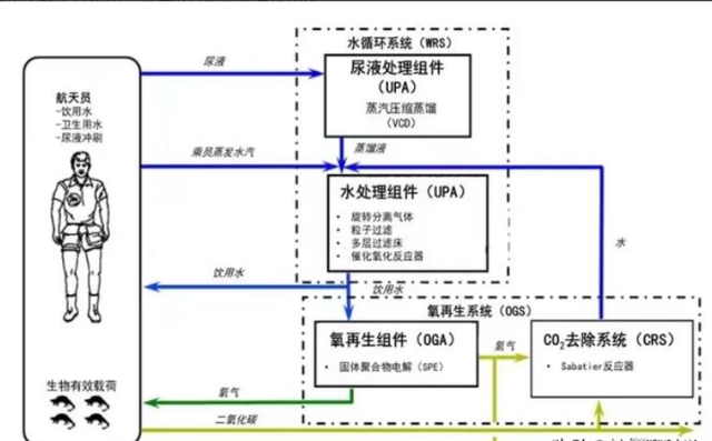 航天员每天需要4升水,水从哪里来的?洗澡上厕所该怎么解决?