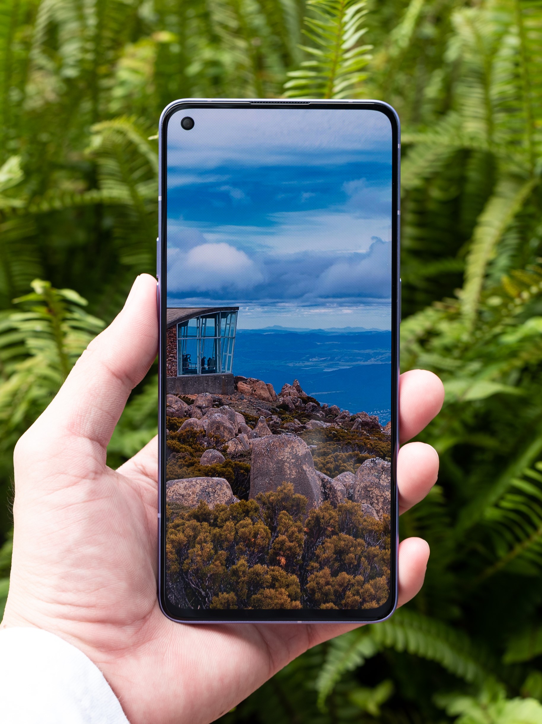 苹果|远峰蓝没了，iPhone14 Pro暗紫色也很吸睛！苹果新配色紧跟潮流