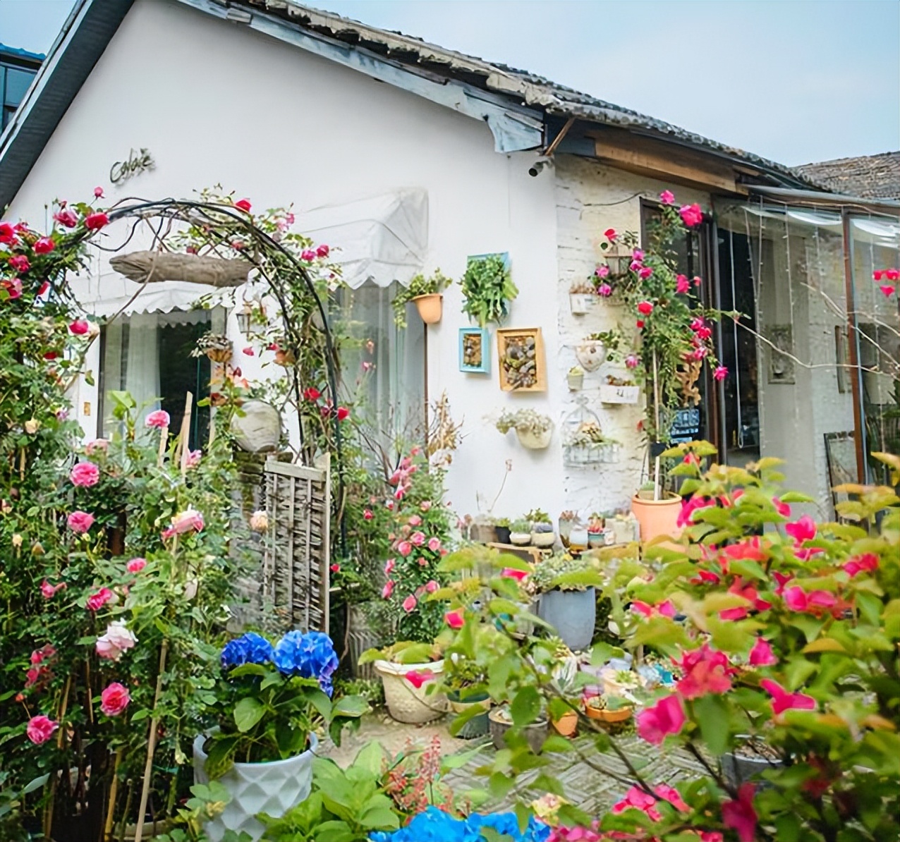 一个简单的花架,却美了整个院子