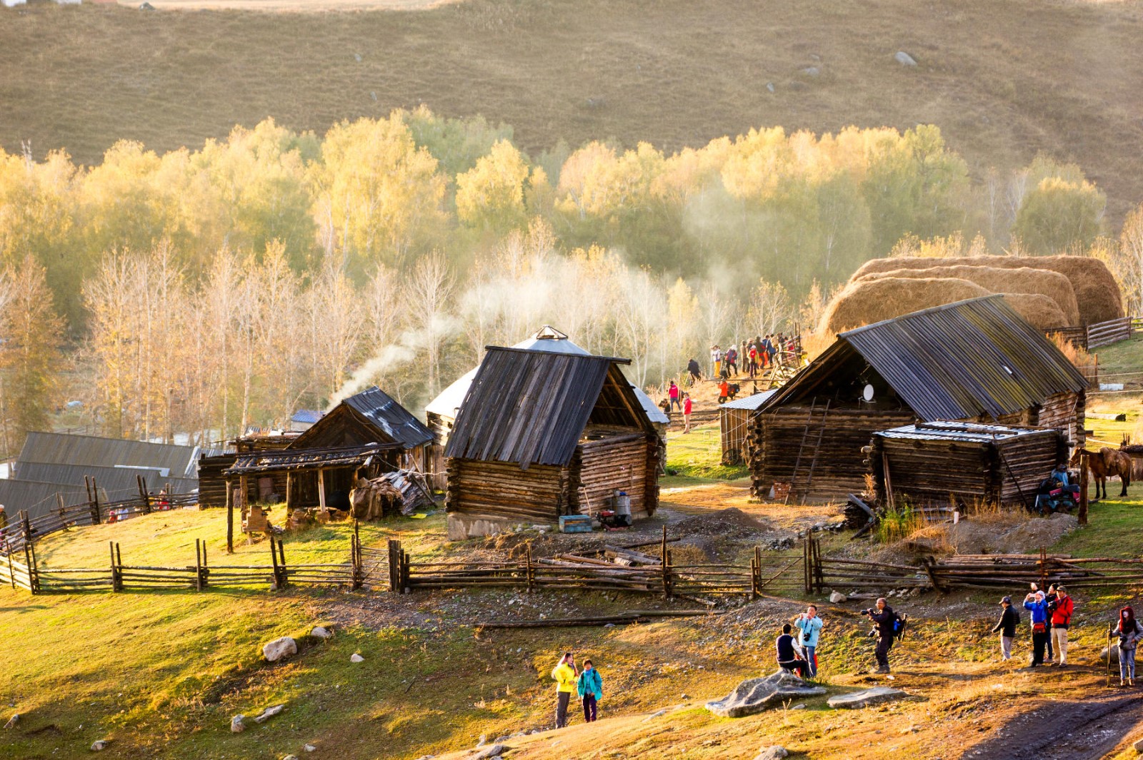 乡村旅游|浅析乡村旅游信息化建设的必要性