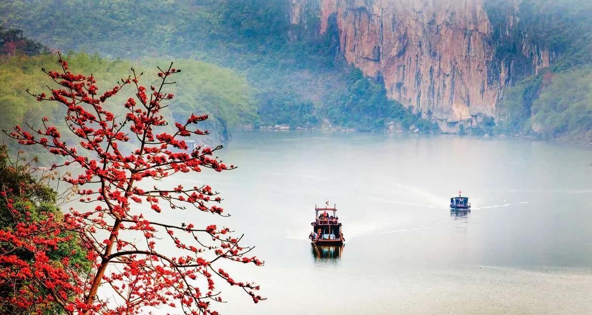 柿子|广西-崇左八景