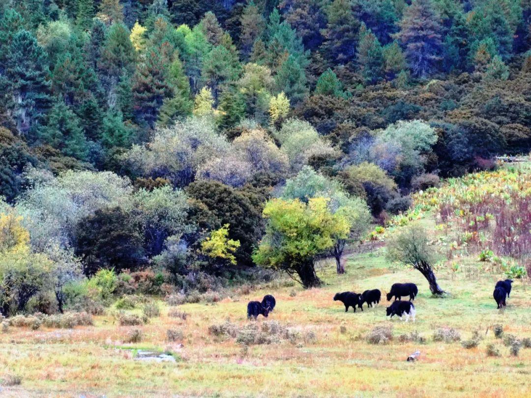 张掖|秋天的第一条线路该去哪？