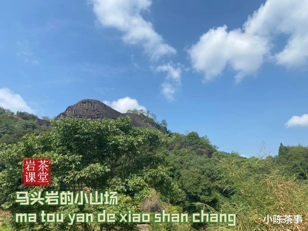 喝武夷岩茶时，为什么总有人爱喝“木本味”的尾水？是更好喝吗？