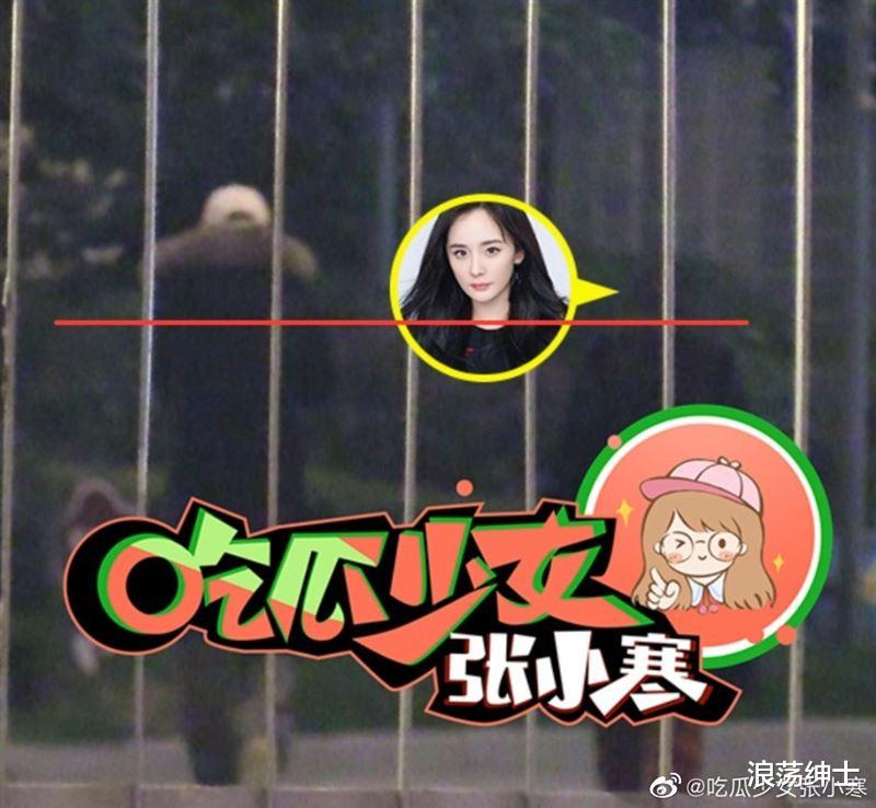 杨幂|杨幂新恋情被抓包！直击上海夜会高帅男　身份曝光竟是他