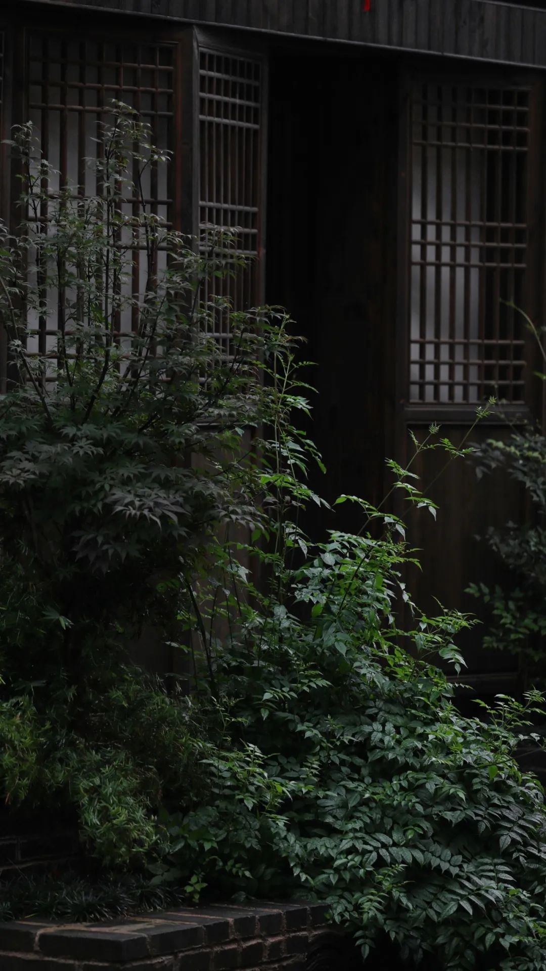 旅游业|夏至 | 人间漫未知，梅雨与晚风说了许多夏天的故事