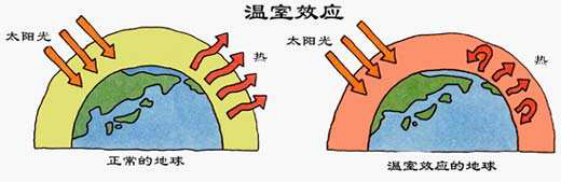 2300万年以来最高纪录,二氧化碳浓度刷新纪录,如今还在飙升