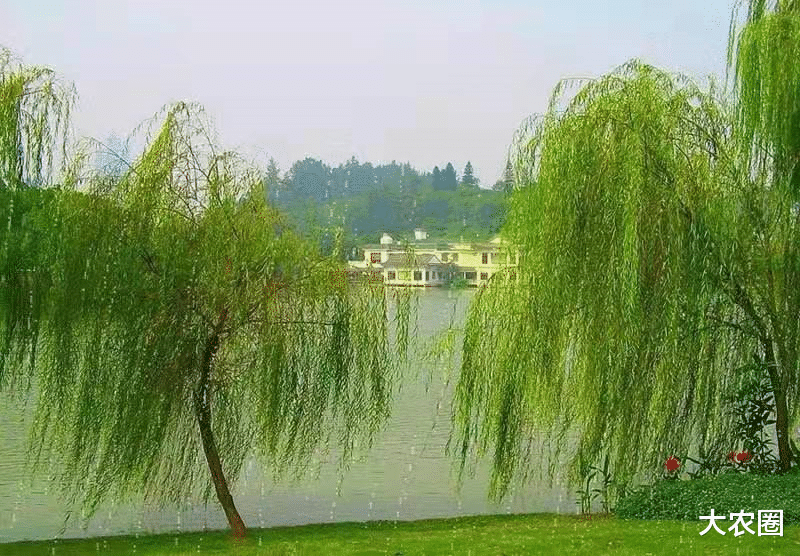 曹泳春:驳枝角45度的伪科学