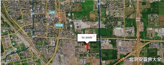 大兴这三条道路命名了