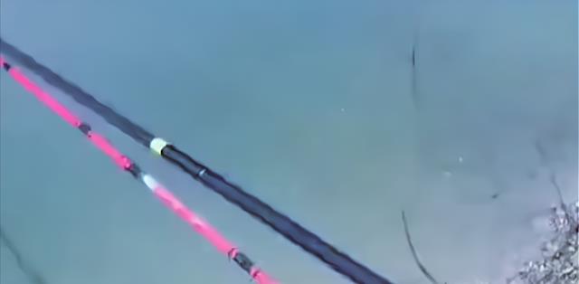 钓鱼忘记带遮阳伞,男子直接从山上就地取材,网友:越钓背后越凉