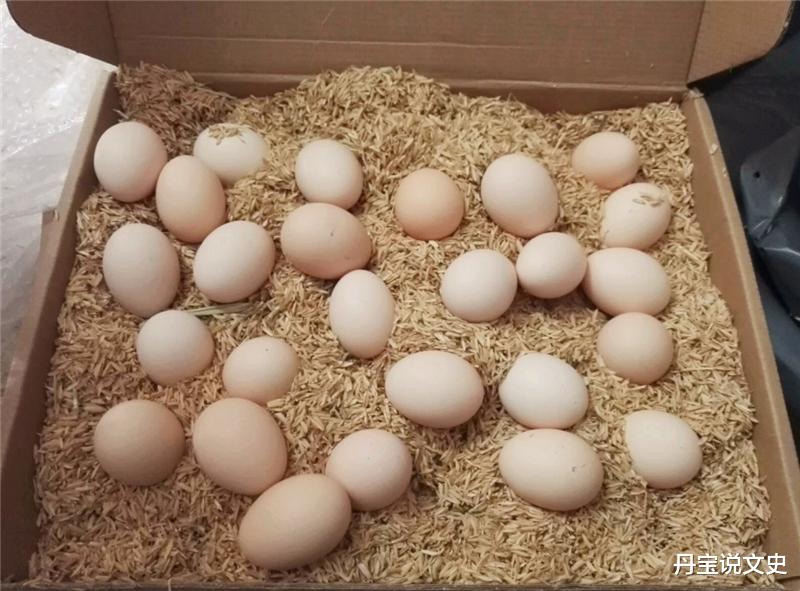 考古学家为啥害怕发现鸡蛋?一颗小小的鸡蛋,会有什么危害吗?