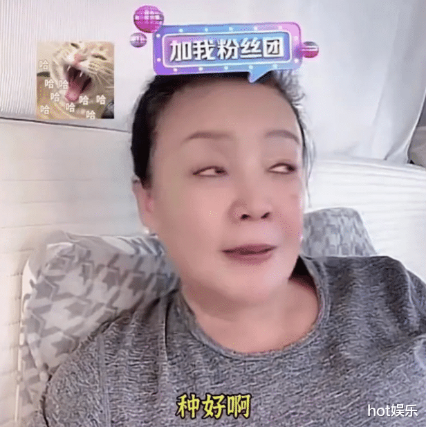 向太|向太才是人生赢家!张兰会赚钱却不懂“相处”,最后把家撕没了