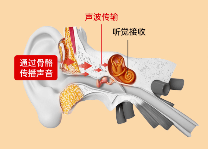 骨传导能保护听力吗，佩戴过程中骨传导耳机对于耳道的损害有多少