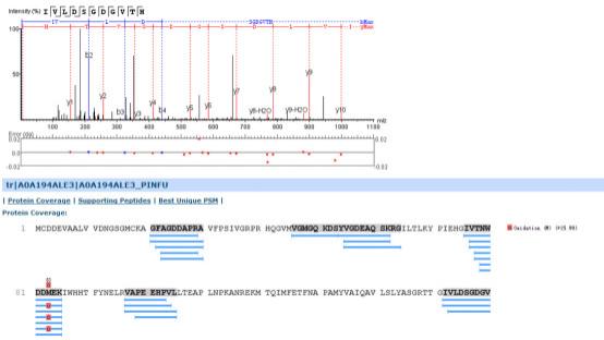 胶条、蛋白液样品鉴定实验