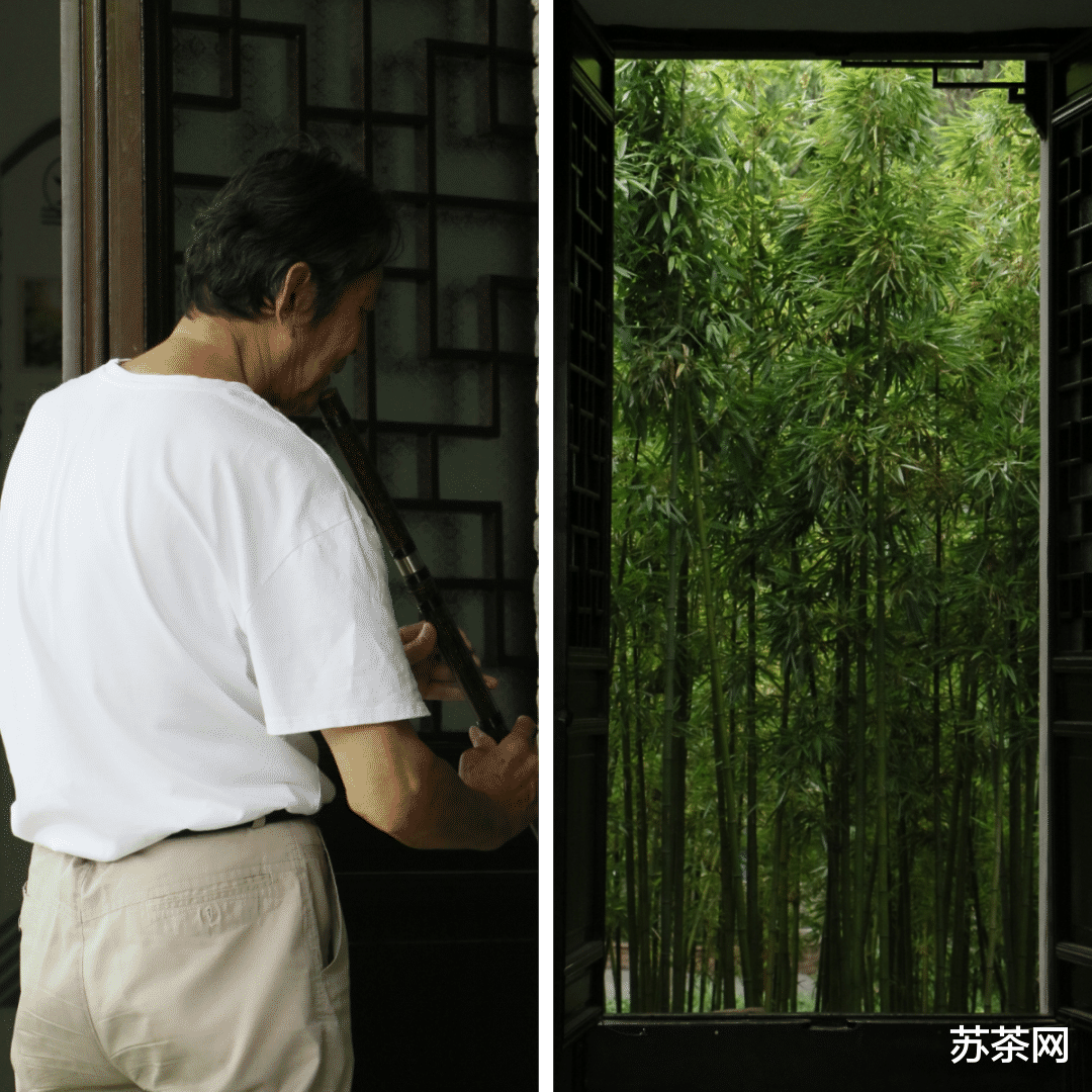 苏州|早晨8点的大公园，让我见识到了高手在人间