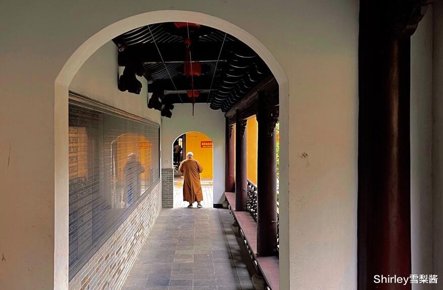 古镇|上海少见的良心寺庙，门票斋饭停车均免费，庭院禅意十足却鲜为人知
