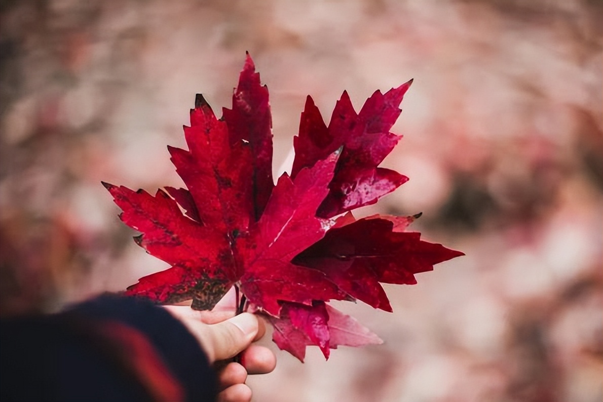 |人这辈子，最难的就是40岁到50岁这10年，这么活着才算聪明