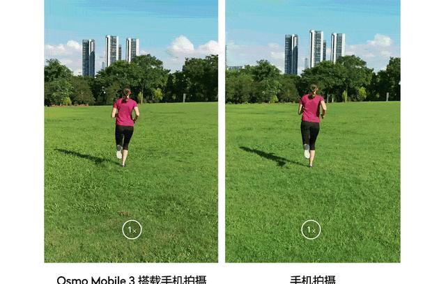 仿生学奥秘,鸡头为啥能防抖?解密后人类发明了相机云台!