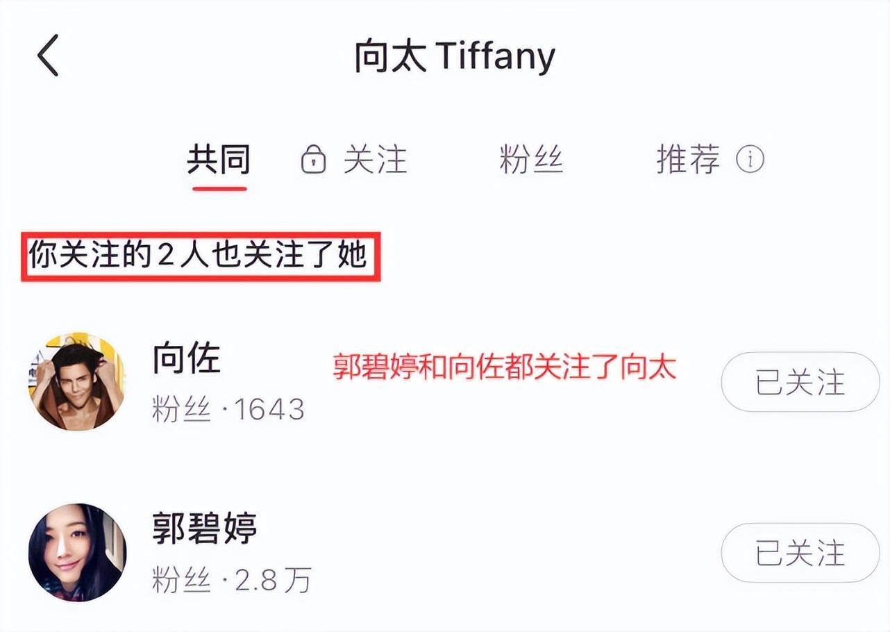 郭碧婷|奚梦瑶何猷君牵手现身男方贴心搬行李,再看郭碧婷怎一个惨字了得