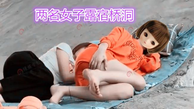 求婚|两女子在桥洞露宿，单身男子上前求婚：我缺个老婆，你俩谁愿意