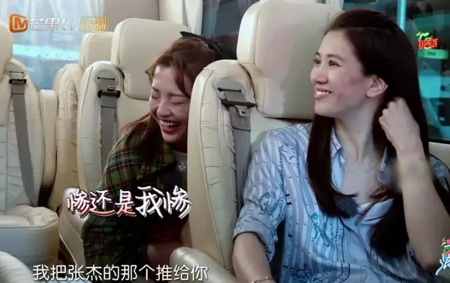 谢娜|他们又被群嘲了?