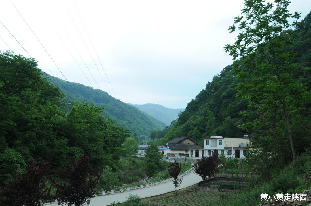 西双版纳|谁能想到，秦岭网红小镇还暗藏隐秘一面，这才是凉爽的山水幽境