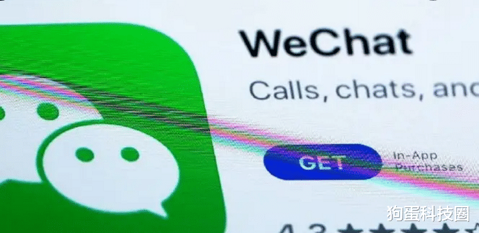 微信|马斯克狂赞:基本上你可以活在微信里