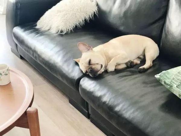 我没见过比这更完美的原木风了!惊呆众人!