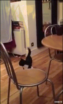 95后|“女朋友出差了，说了上海出差，还给我发来了一张这样的照片”哈哈哈！