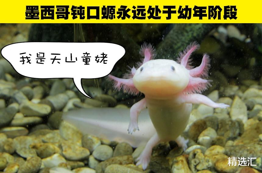 听起来很假,但科学证明是真实情况的8件事情