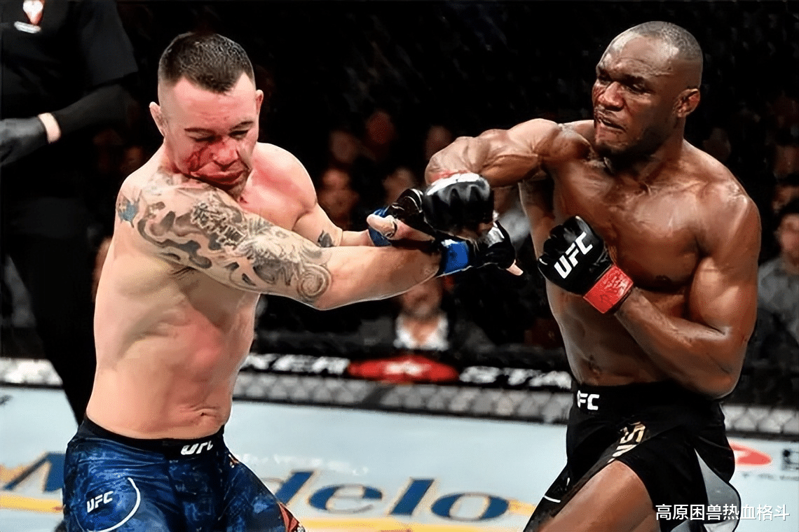 李景亮|难！李景亮有多难？看看UFC次中量级前五的实力，到底有多夸张？