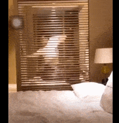 结婚时请了3个伴娘，发现这婚可能结早了...总要给别人留点机会啊