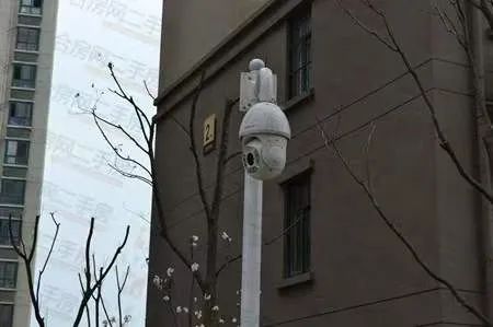 数十起青少年诡异失踪案的背后……
